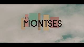 Les Montses  Despertam Avicii  Wake Me Up Cover Lyric Video [upl. by Beera]