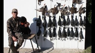 battue aux foulques camargue duck hunting [upl. by Cloe]