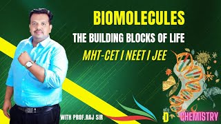 L1Biomolecules Class 12 ChemistryIntroduction of Biomolecules ampits Classification In Marathi [upl. by Fenny762]