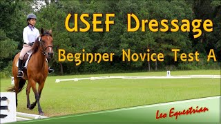 USEF Dressage  Beginner Novice Test A  Leo Equestrian [upl. by Nannarb]