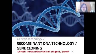 Chap 19 Part 2a Recombinant DNA Technology  Cambridge ALevel 9700 Biology [upl. by Assiralc698]