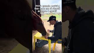 Avere 4 cavalli foryou horse trending humor viralvideo equestrian perte cowboys ironia [upl. by Unhsiv]