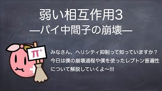 素粒子実験屋の解説 弱い相互作用3 パイ中間子の崩壊 [upl. by Neeruam]