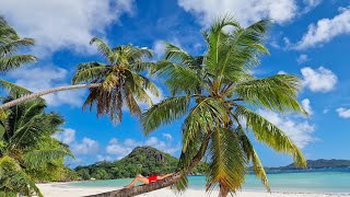 Seychelles  Mahe amp Praslin islands 2023 🌴☀️🐠⛱🏖🐢 [upl. by Mot]