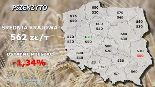 54 agro wiadomości nonstop  20190930 [upl. by Horatio]