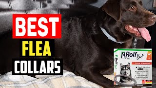 Top 5 Best Flea Collars for Dogs Reviewed in 2023 [upl. by Anotyad]