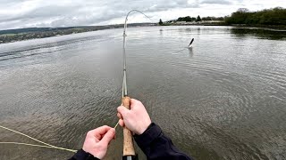 My Biggest Sea Trout On The Fly [upl. by Nolla]