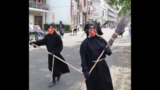 Corso de Jambes 2023  Fanfares Géants Macralles Echasseurs   HD [upl. by Nelhsa996]