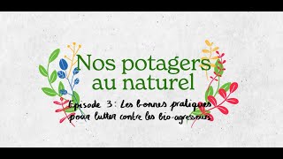 Nos potagers au naturel  Episode 3  Les bonnes pratiques pour lutter contre les bioagresseurs [upl. by Faina]