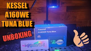 Kessil A160WE Tuna Blue  What a Fantastic light 👍 [upl. by Lorant]