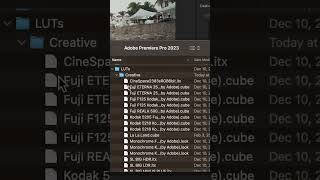 Install LUTs Directly Into Premiere Pro [upl. by Barta]