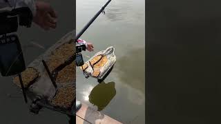 Bro，be generous when fishing fishing carpfishing boatman baitboat bassfishing bait boat [upl. by Seniag]