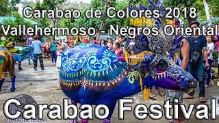 Carabao de Colores 2018  Carabao Festival in Vallehermoso [upl. by Otaner998]