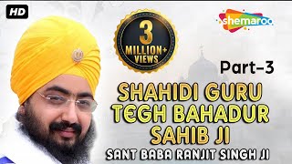 SHAHIDI GURU TEGH BAHADUR SAHIB JI PART 3 SANT BABA RANJIT SINGH JI [upl. by Saba]