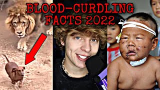 BLOODCURDLING Facts You Wish You Never Knew Best of 2022 Compilation [upl. by Attenyw]