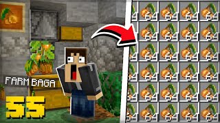 A NOVA FARM de BAGAS BRILHANTES  Minecraft Survival 55 [upl. by Haslam154]