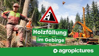 Holzernte mit Seilbahn am Steilhang  TST forestry 600 Gebirgsharvester und TST Timbernator [upl. by Brockie]