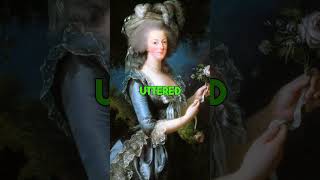 Marie Antoinette The Queen Who Tried to Warn You [upl. by Solberg]