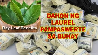 DAHON NG LAUREL PAMPASWERTE SA BUHAYApple Paguio7 [upl. by Maida]