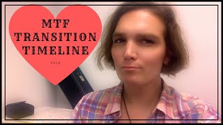 MtF Timeline  1 year on HRT [upl. by Deborah]