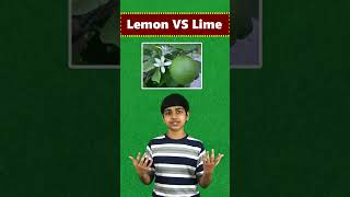 What is difference between Lemon and Lime [upl. by Suiravaj938]