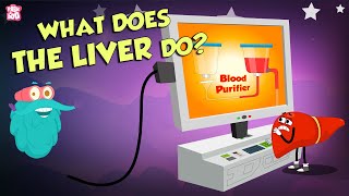 What Does The Liver Do  Liver Functions  The Dr Binocs Show  Peekaboo Kidz [upl. by Hakeem]