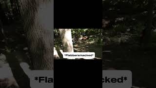 40 FOOT GAP CRASH mtb fail Reupload in higher quality [upl. by Kcirted643]