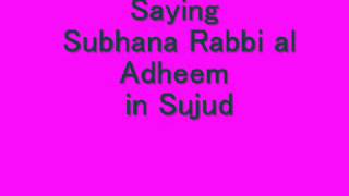 Saying Subhana Rabbi al Adheem in Sujud [upl. by Uol]