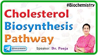 Cholesterol Biosynthesis Pathway  Biochemistry [upl. by Hike]