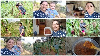 COMO FICOU NOSSO DOCE DE MAMÃO COM COCO NO FOGÃO A LENHA FOI AJUDAR BERO LIMPAR A ROÇA DE MACAXEIRA [upl. by Seagraves]