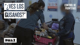 Viajando con una maleta llena de gusanos  Control de fronteras España [upl. by Reppiks]