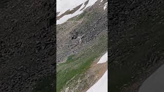 Stalled plane narrowly avoids collapse in Colorado 🛩️ [upl. by Anatnahs]