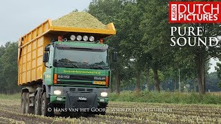 Mais hakselen  New Holland FR700  Silage truck Loonbedrijf van Boxmeer  Maize silage  Fendt [upl. by Eilrac]