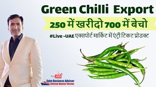 Green Chilli Export To Dubai From India  Green Chilly Dubai Export Price  Dubai Green Chilli Buyer [upl. by Klemperer]