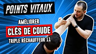 Comment améliorer une clé de coude avec le point de pression quotTriple réchauffeur 11quot Kyusho Jitsu [upl. by Enael362]