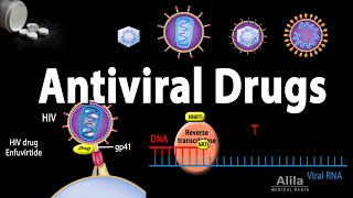 Antiviral Drugs Mechanisms of Action Animation [upl. by Elsy]