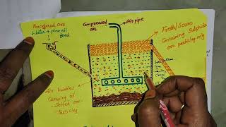 FROTH FLOTATION PROCESS  Important IPE QUESTIONS [upl. by Yrak]