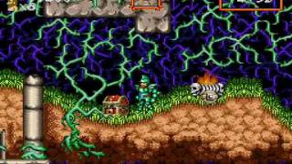 Super Ghouls N Ghosts Expert Playthrough Opening amp Stage 1 [upl. by Allx738]