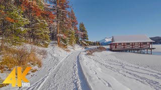 4K Jasper National Park Canada  Winter Walking Tour through Forest with Nature Sounds  Part 2 [upl. by Rabaj]