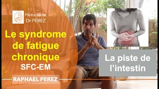 Syndrome de fatigue chronique  SFCEM  le lien avec lintestin [upl. by Isaac]