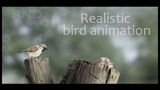 Realistic cg bird animation [upl. by Alessig506]