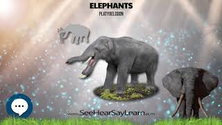 Platybelodon 🐘🌴🐘 All Things Elephants 🐘🌴🐘 [upl. by Zephaniah]