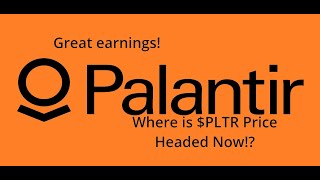 Palantir PLTR Surges on Stellar Earnings Whats the Next Move [upl. by Perlis559]