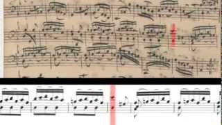 BWV 1008  Cello Suite No2 Scrolling [upl. by Garceau174]