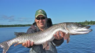 Pike amp Musky on a Fly  How To [upl. by Naam174]