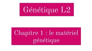 Génétique L2  le matériel génétique [upl. by Eillat511]