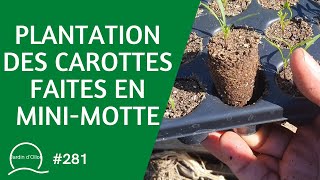 281Plantation des carottes faites en minimotte 🥕 [upl. by Anastas254]