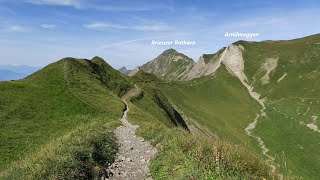 Sörenberg Schönenboden  Eisee  Arnihaaggen  Höch Gumme  Turren Lungern  5 Aug 2024 [upl. by Akkimat]