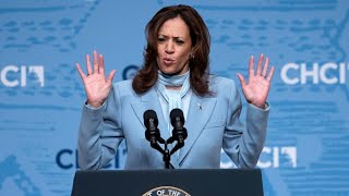 ‘Everyone is telling them they’re a band of idiots’ Harris campaign staff ‘exhausted’ [upl. by Aryn]