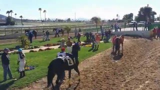 Turf Paradise Race Course and Horse Racing Phoenix Arizona [upl. by Eiznikcm]